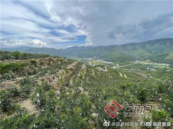 昆明经济技术开发区管委会