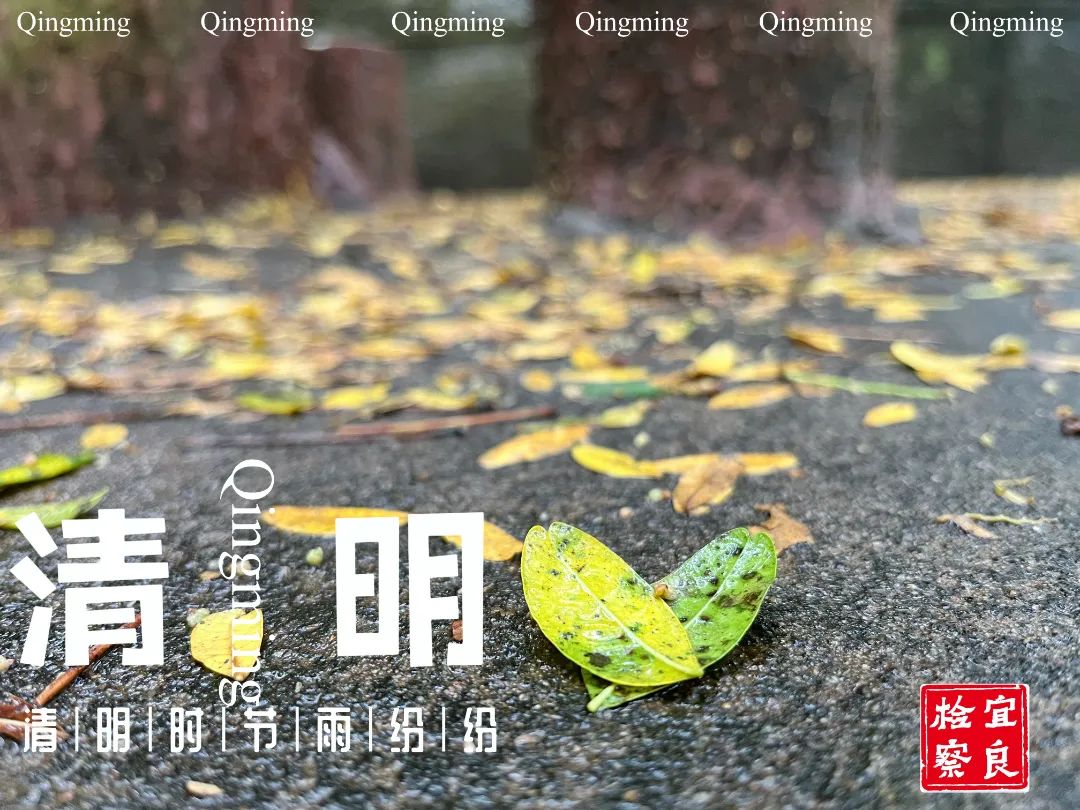 宜良检察(微信)