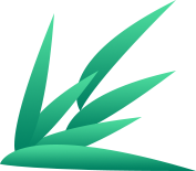 西双版纳望天树景区