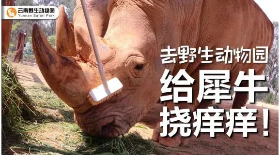 云南野生动物园