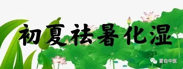 蒙自中医