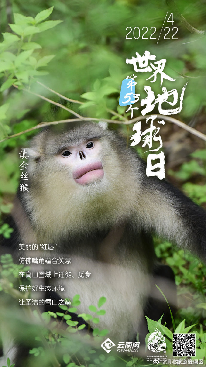 “滇池旅游度假区”微博