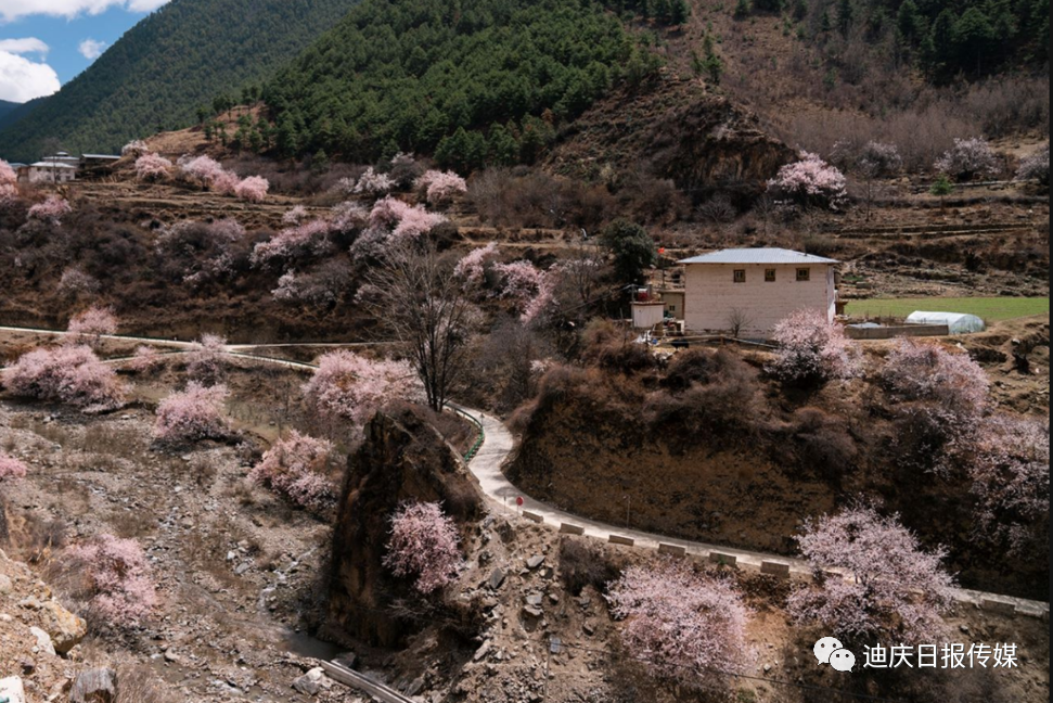 迪庆日报传媒