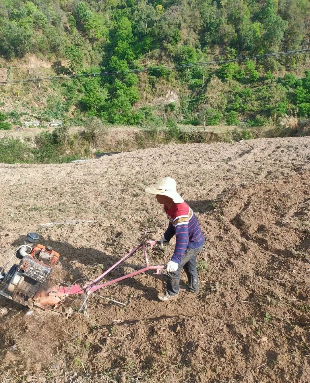 南涧党建彝乡先锋