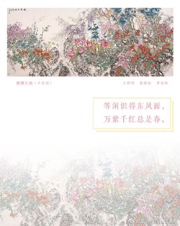 昆明市西山区发布