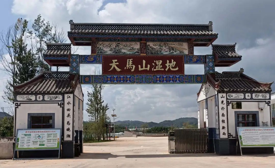 珠源先锋