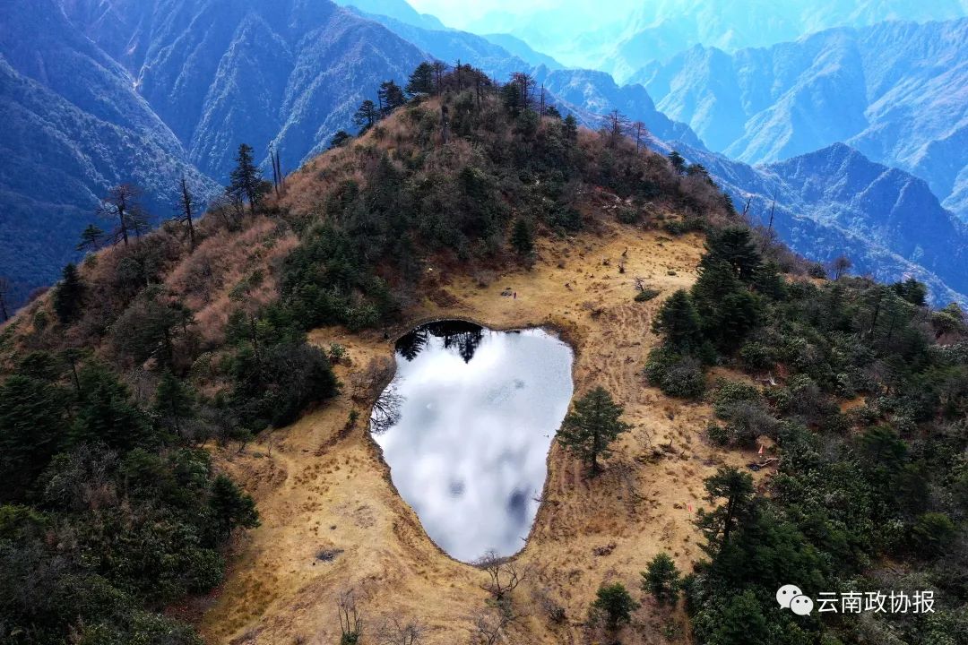 云南政协报