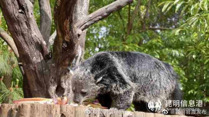 “昆明官渡发布”微博