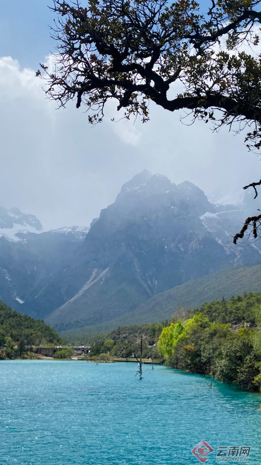 云南省文化和旅游厅