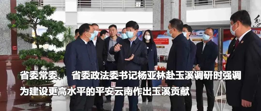 云南政法