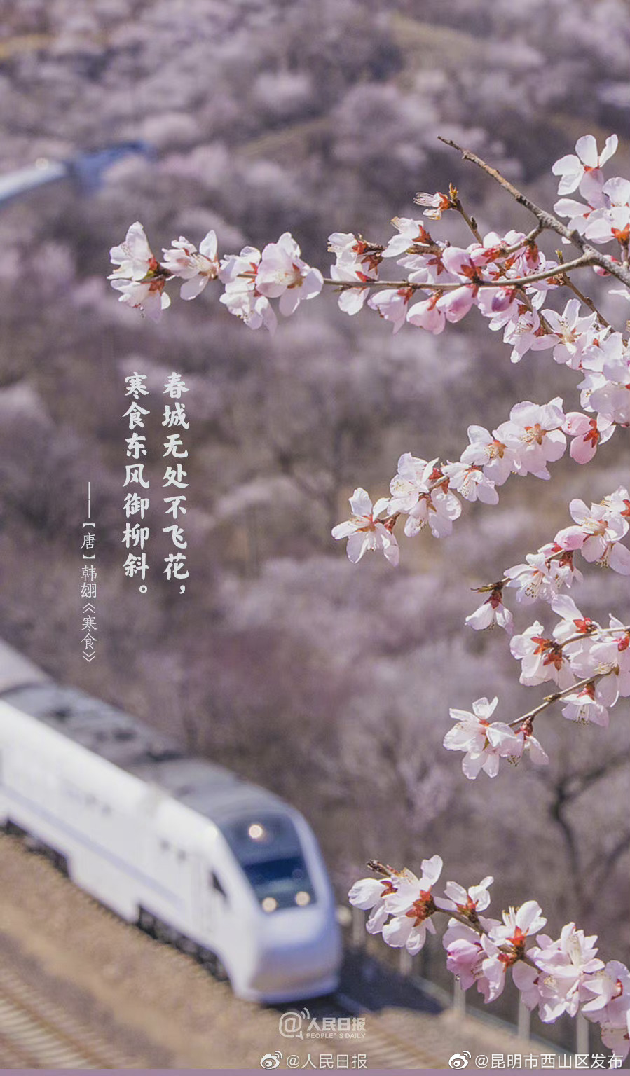 昆明市西山区发布
