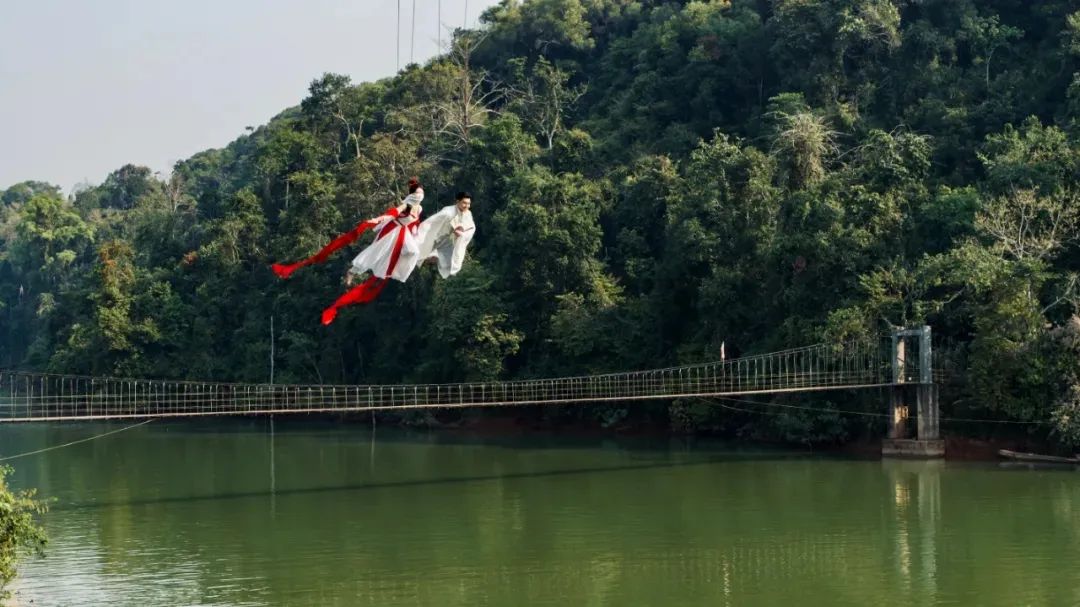 西双版纳望天树景区