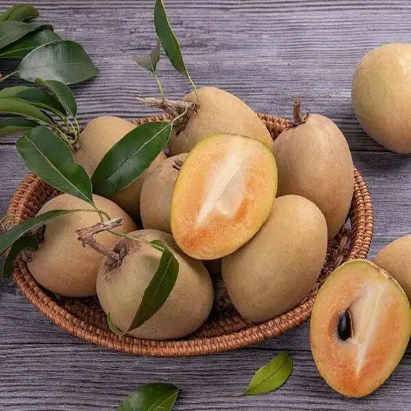 西双版纳望天树景区