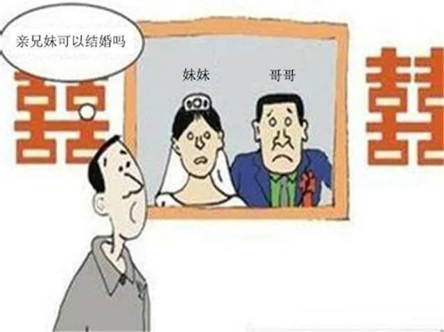 云南法制报