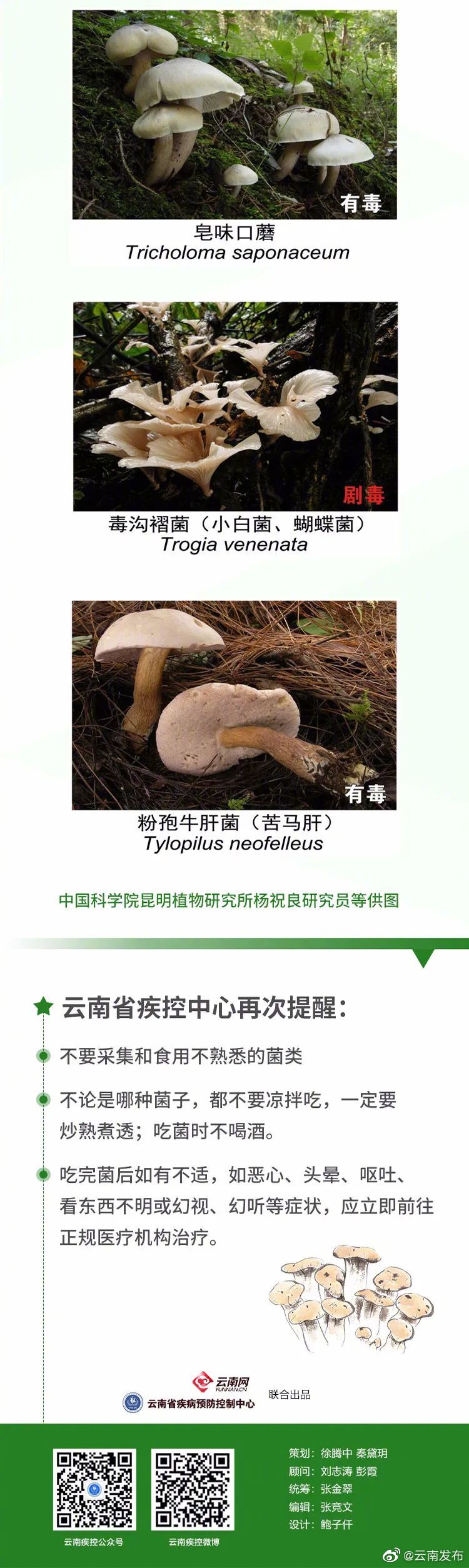 “云南发布”微博