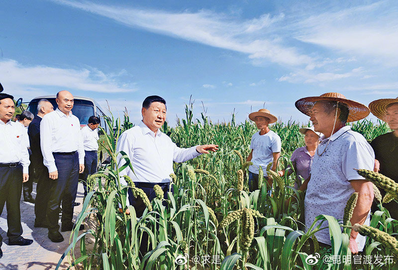 “三农”向好，全局主动