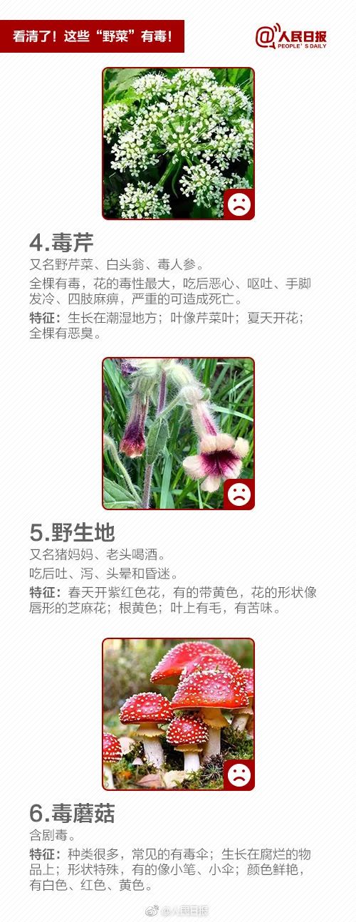 美丽云南微科普