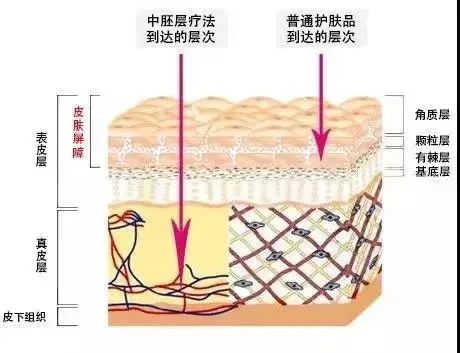 云南省中医医院