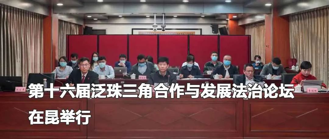 云南政法