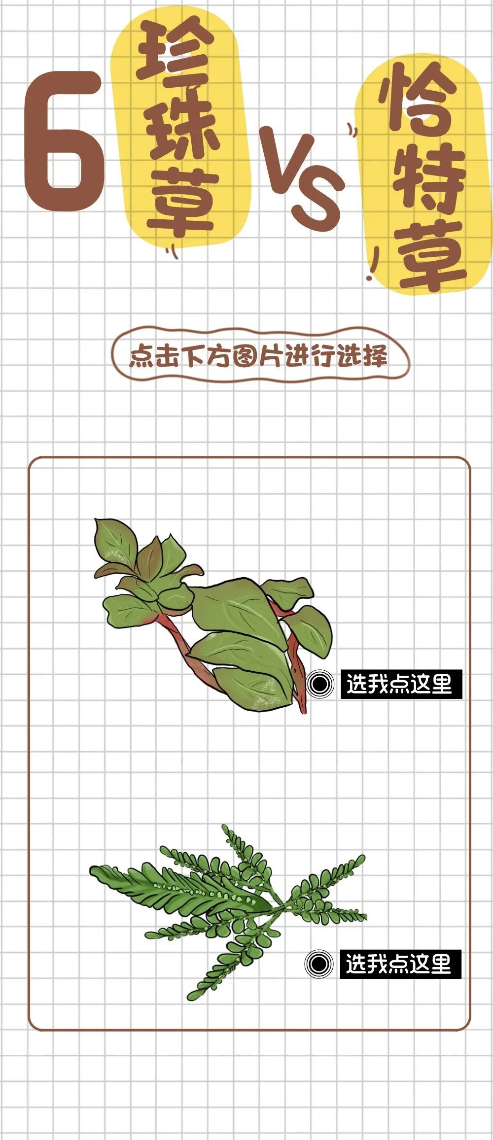 东川发布(微信)