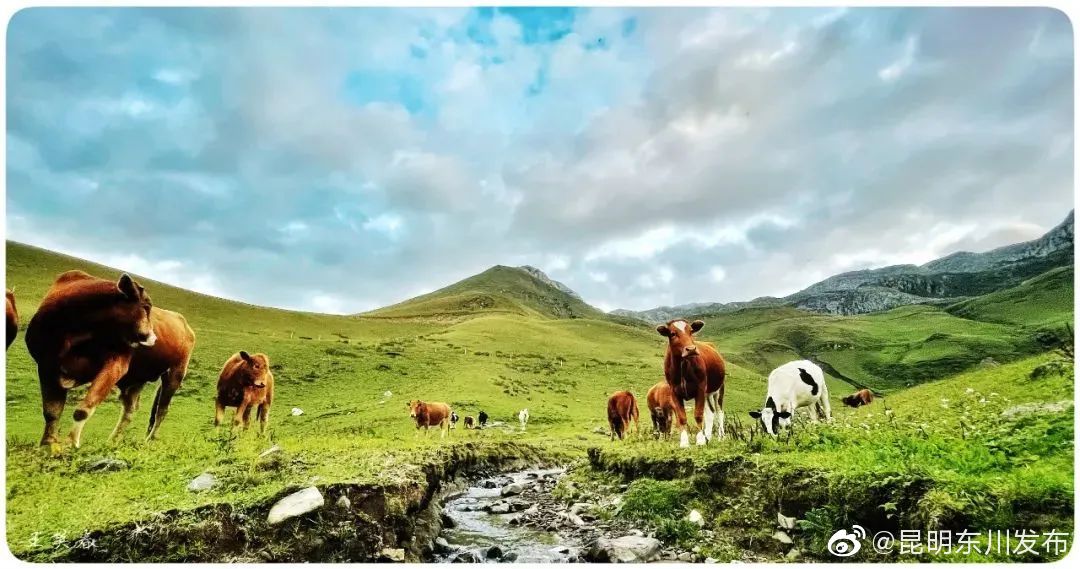 天南铜都，山川河流皆是景！