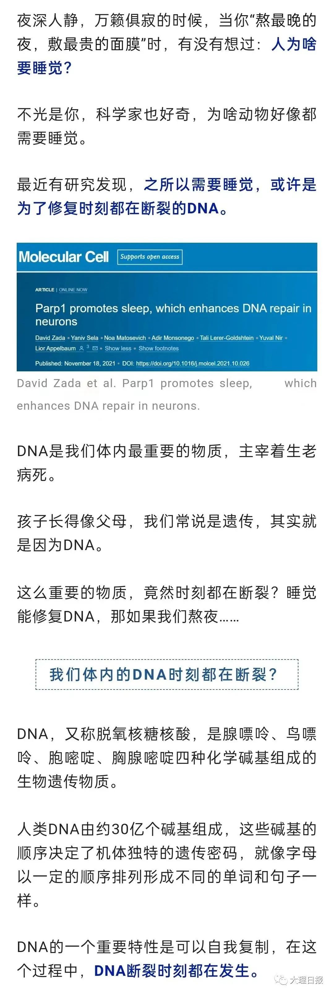 大理日报