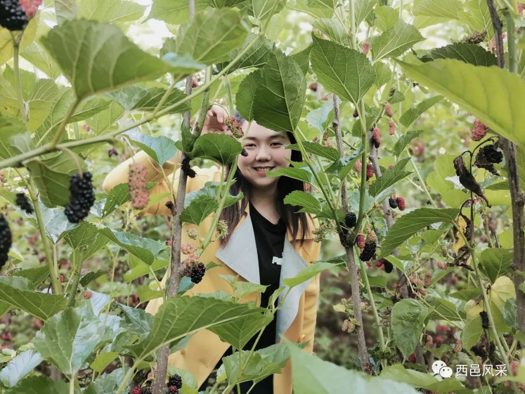 保山新闻网