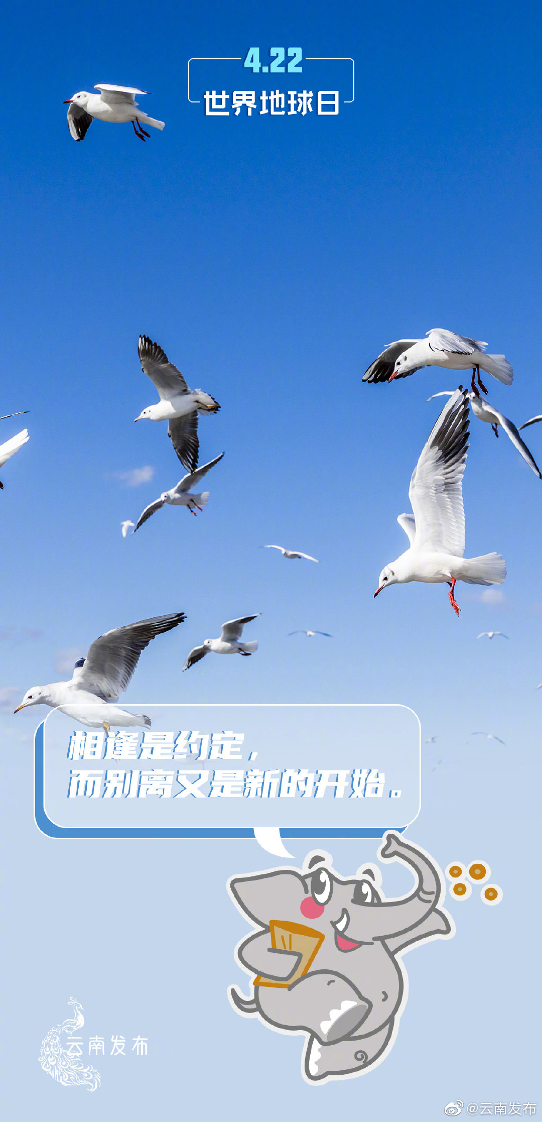 “云南发布”微博
