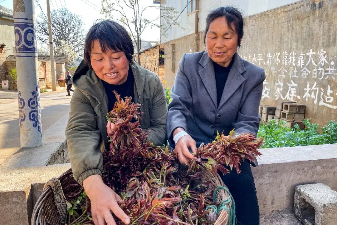 玉溪先锋