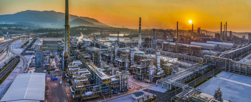 云南省人民政府网