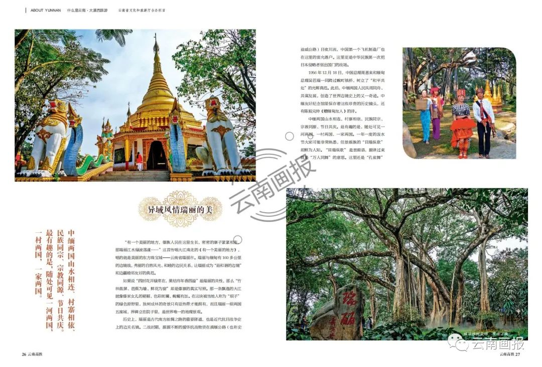 云南信息报