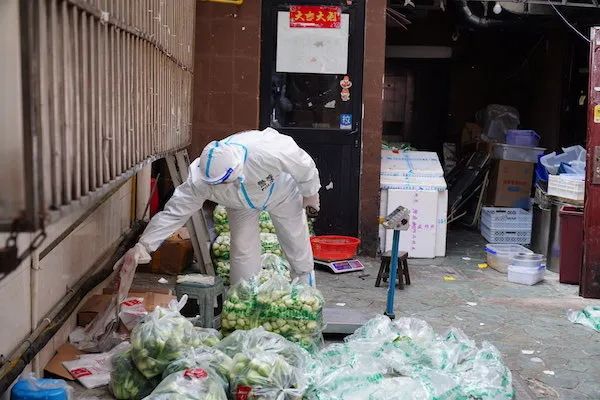 掌上春城微信公众号