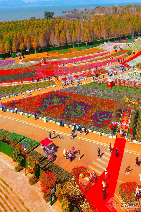 云南省文化和旅游厅