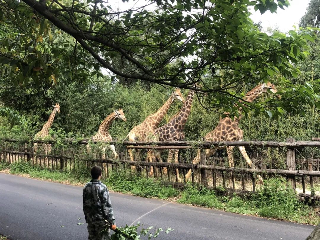 云南野生动物园