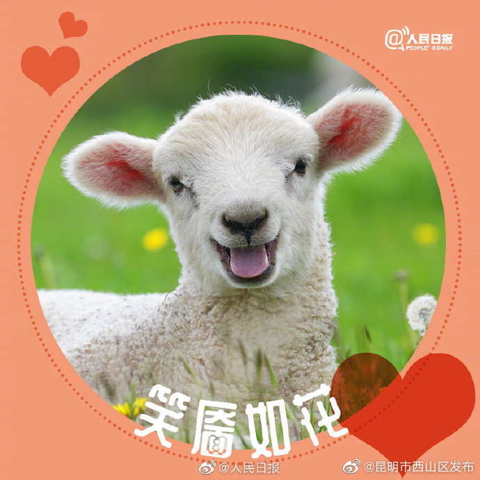 昆明市西山区发布