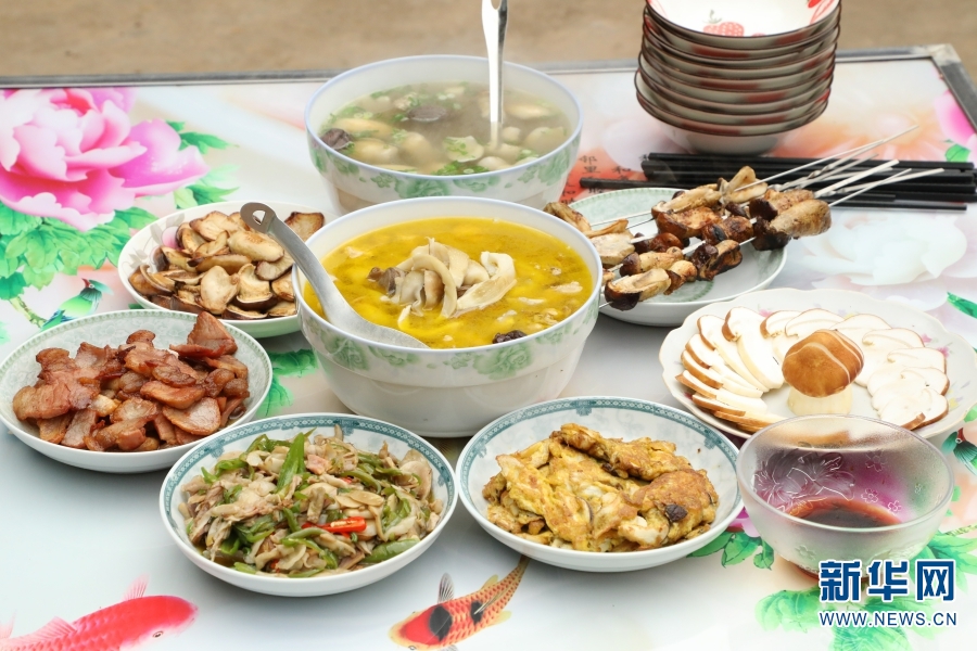 云南省文化和旅游厅