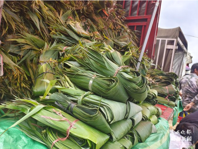 昆明信息港/cnkmxxg