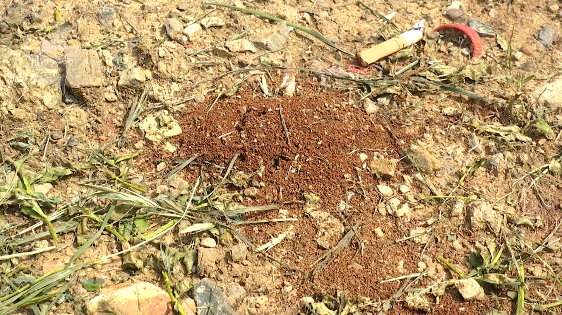 昆明信息港/cnkmxxg