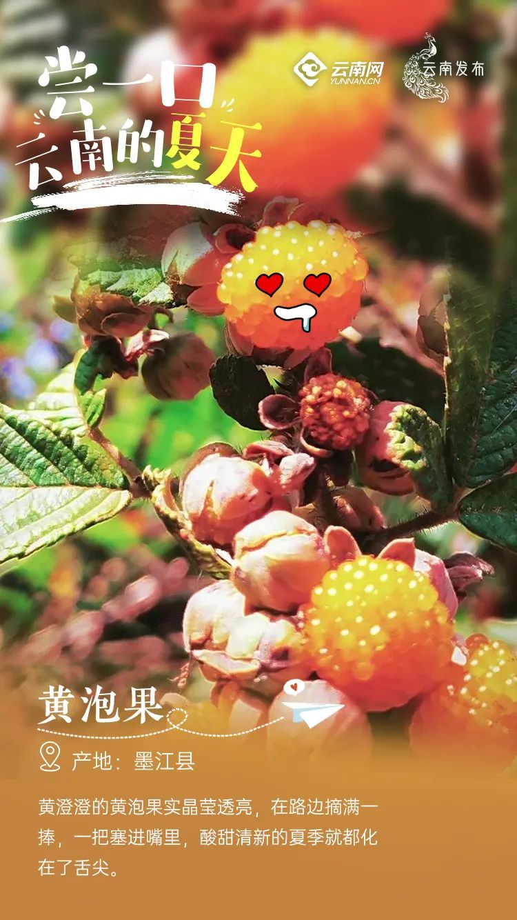 云南信息报