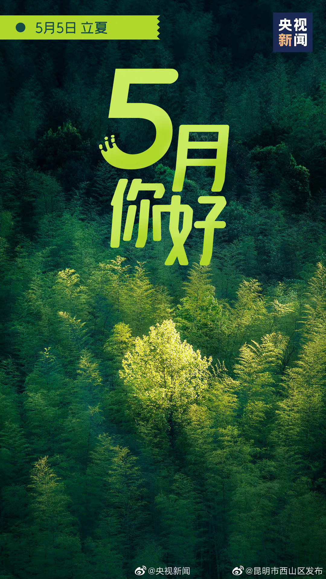 昆明市西山区发布