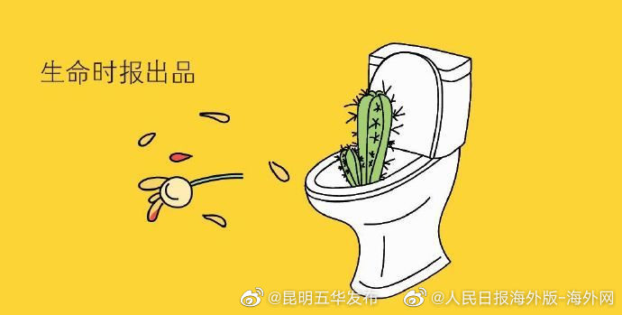 “昆明五华发布”微博
