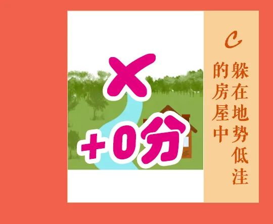 大理日报