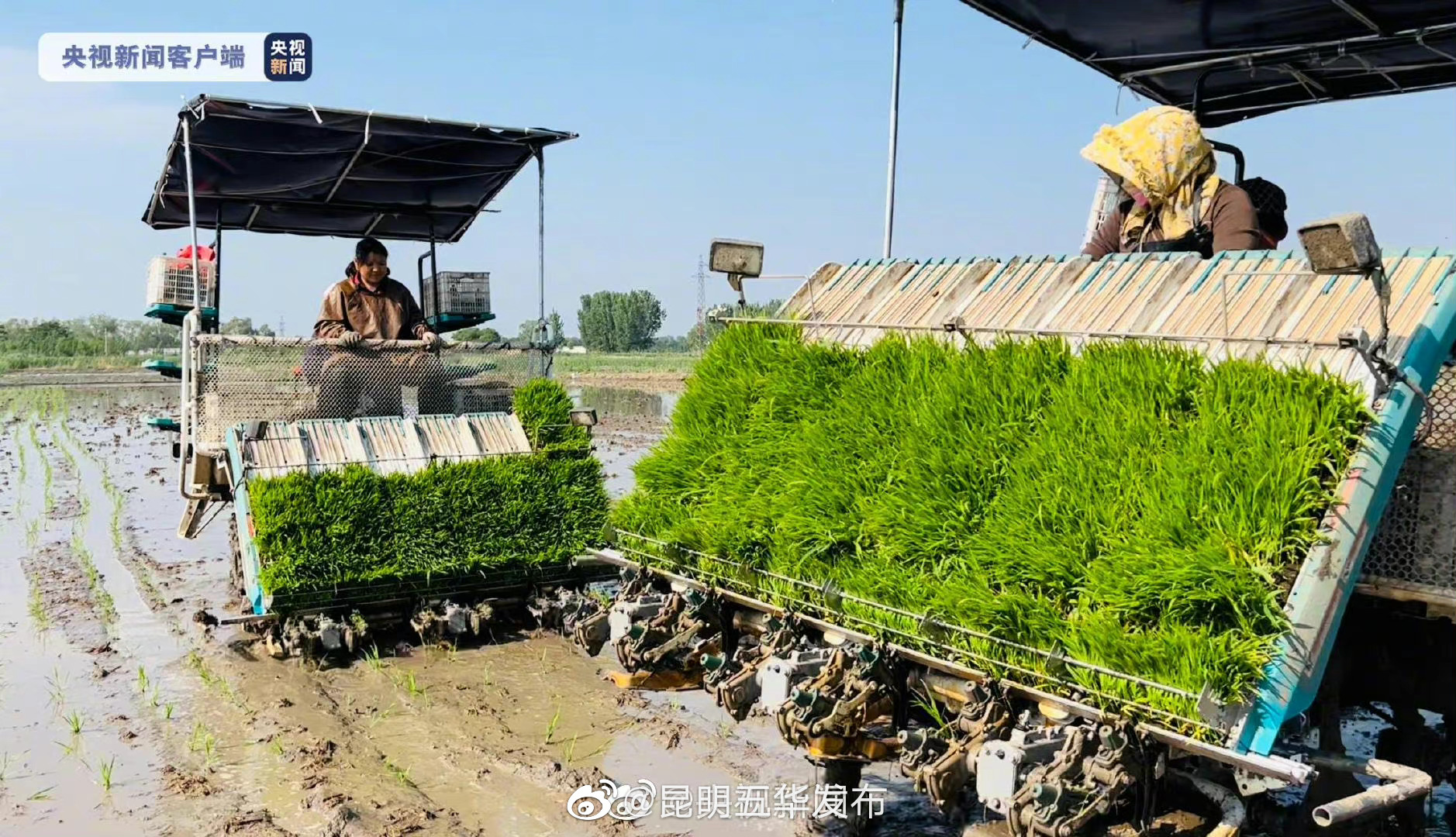 “昆明五华发布”微博