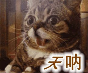保山新闻网