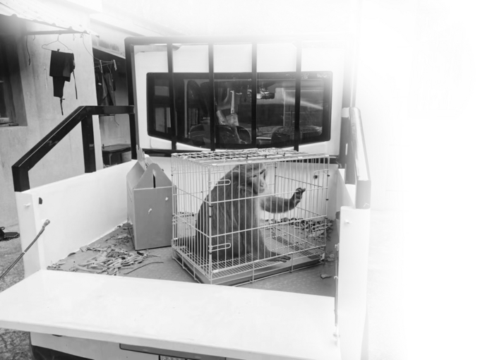 掌上春城微信公众号