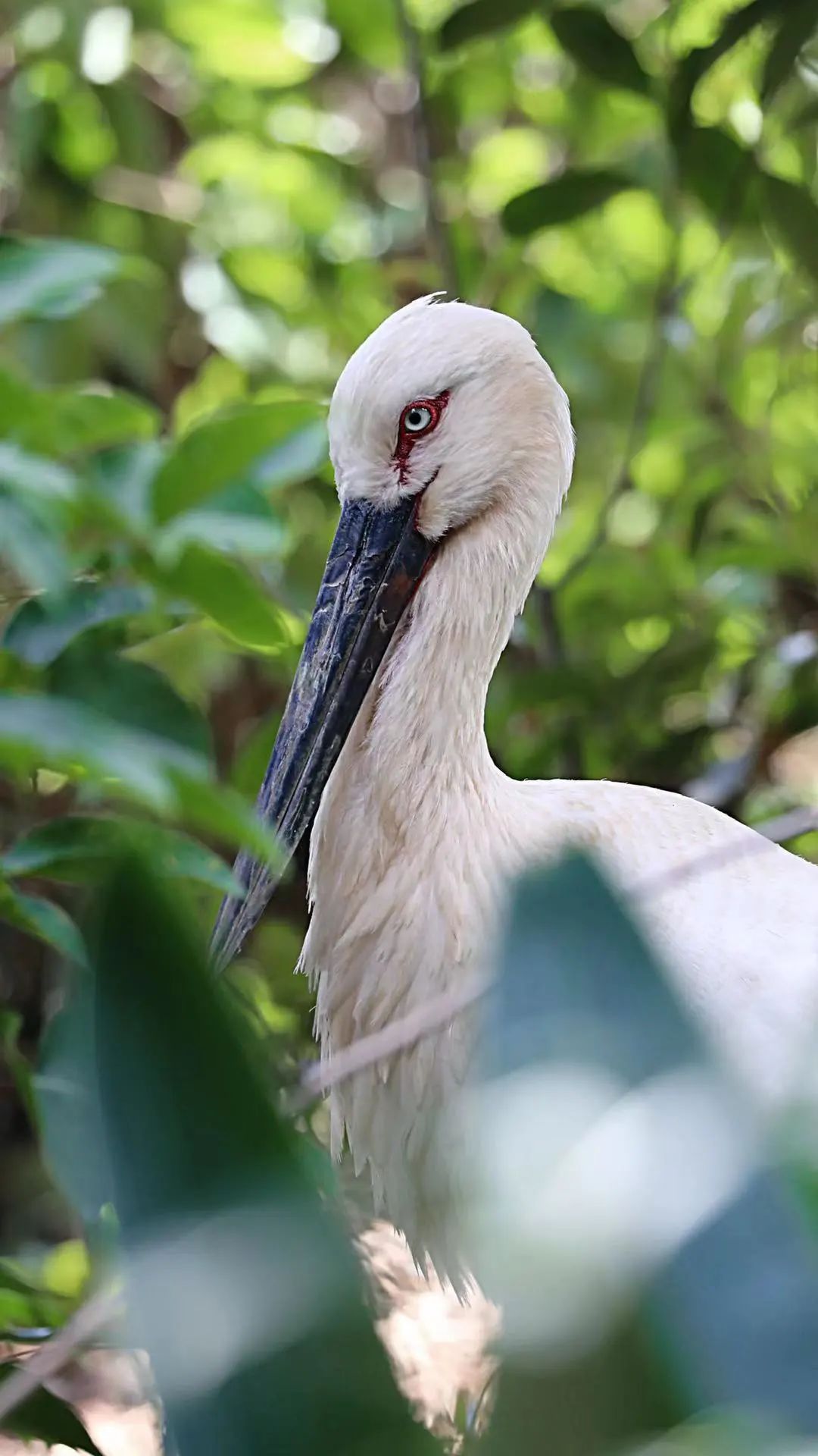 云南野生动物园