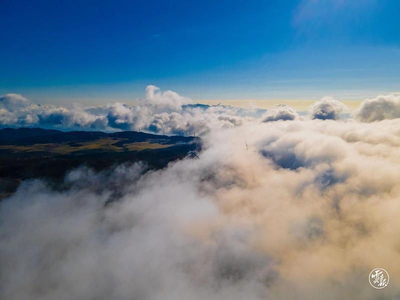 云南省文化和旅游厅