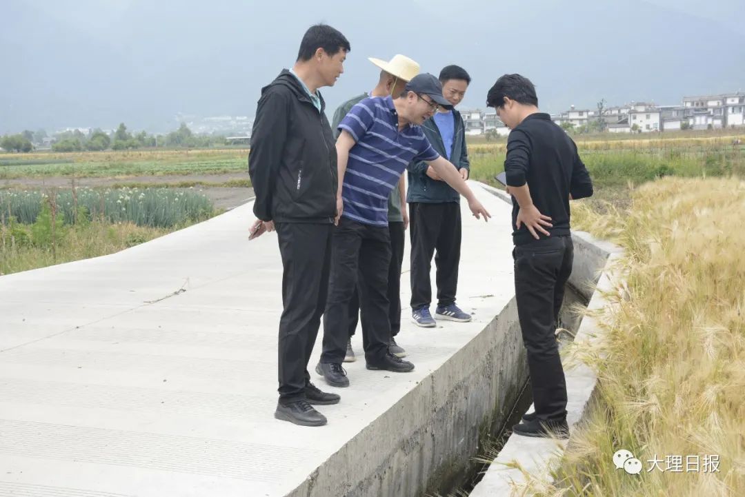 大理日报