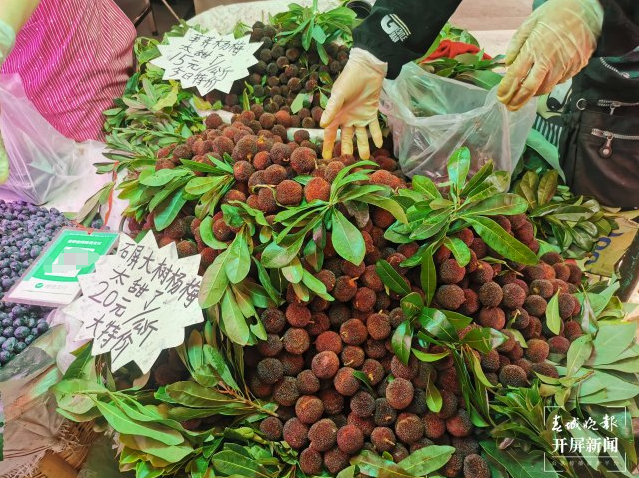 昆明信息港/cnkmxxg