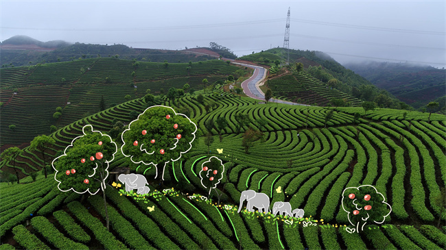 云南省文化和旅游厅